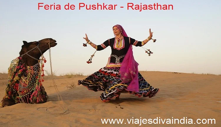 Pushkar Fair  07-16 NOV 2024, From USD 1100